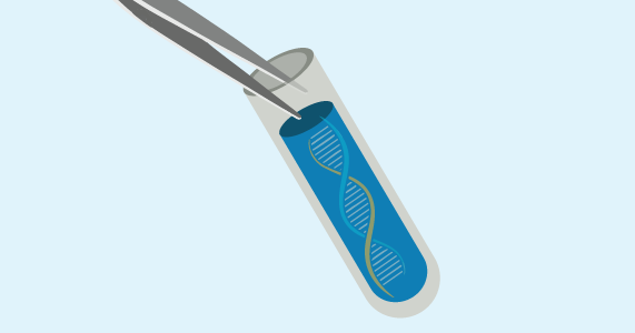 Genetics - Nucleic acid extraction