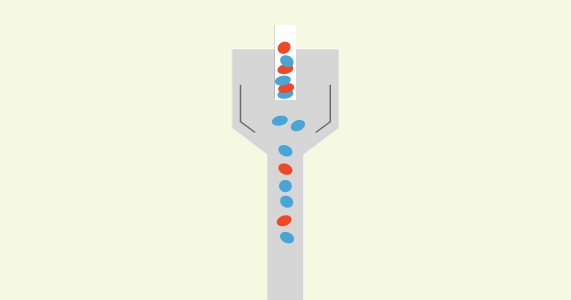 Immunology - Flow cytometry