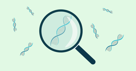 Microbiology - Fragment analysis